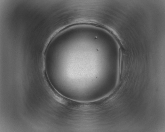 X0000070201371200606021218