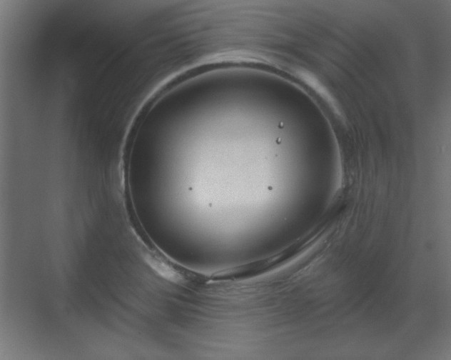 X0000070201372200606021218