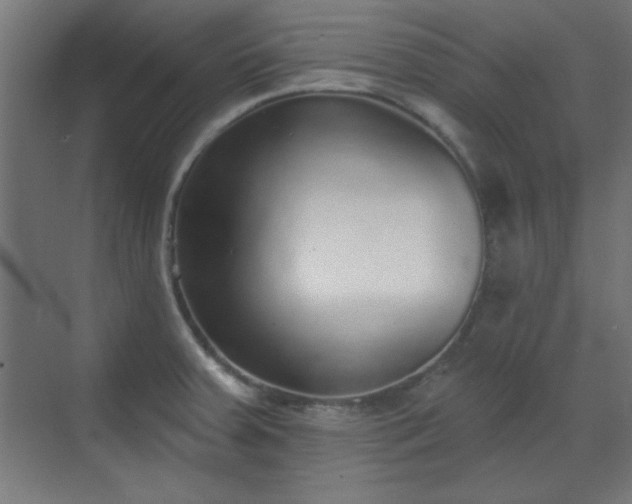 X0000070201379200606021218