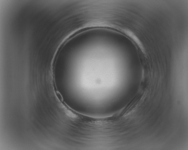 X0000070201380200606021218