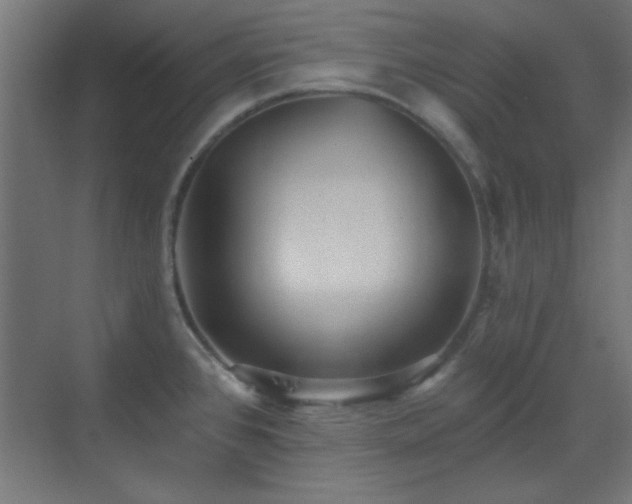 X0000070201384200606021218