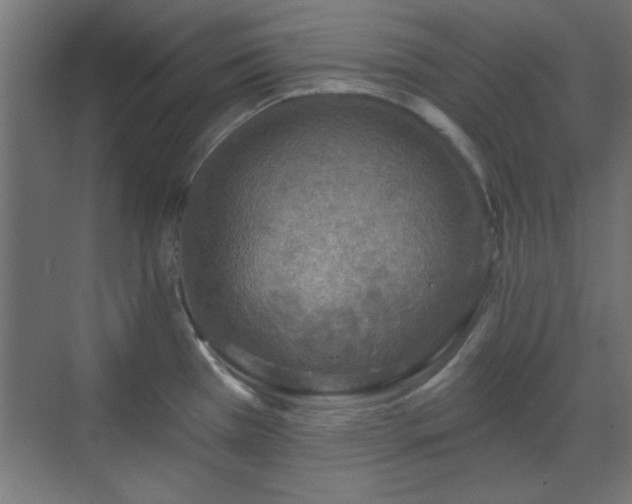 X0000070201385200606021218