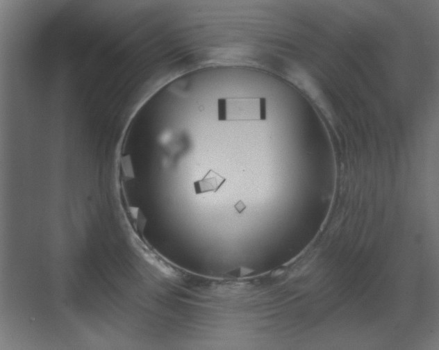 X0000070201386200606021218