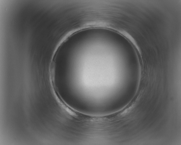 X0000070201389200606021218