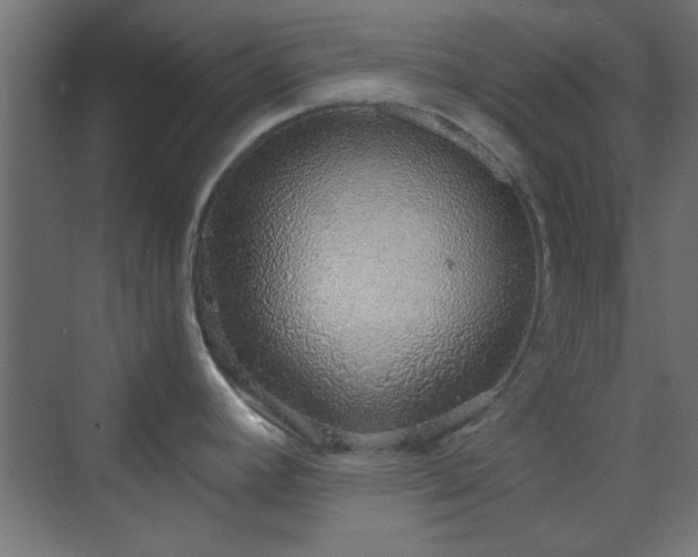 X0000070201392200606021218