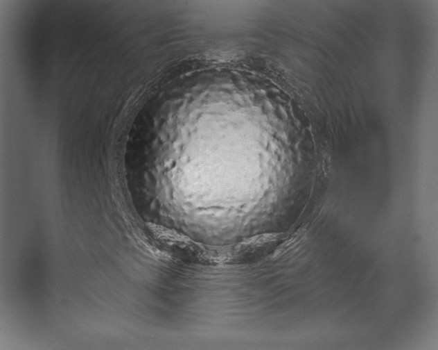 X0000070201393200606021217