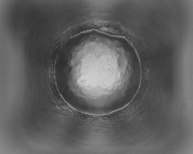 X0000070201397200606021217