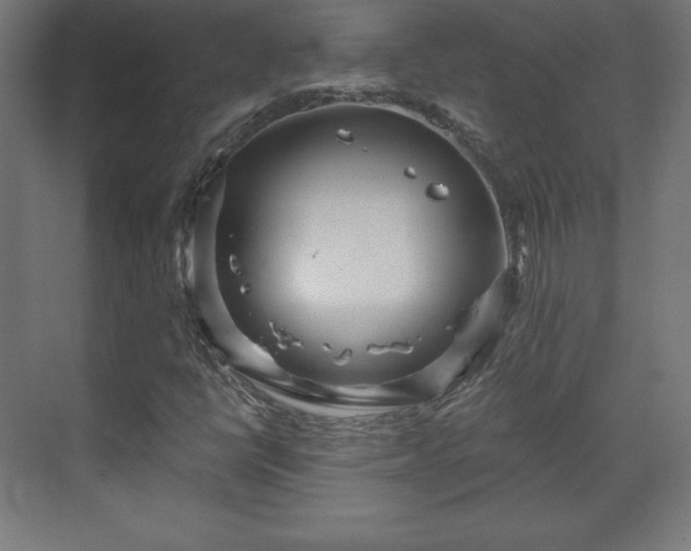 X0000070201398200606021217