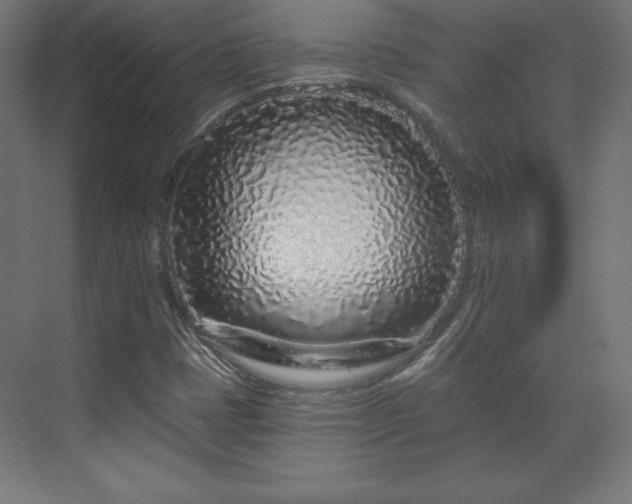 X0000070201401200606021217