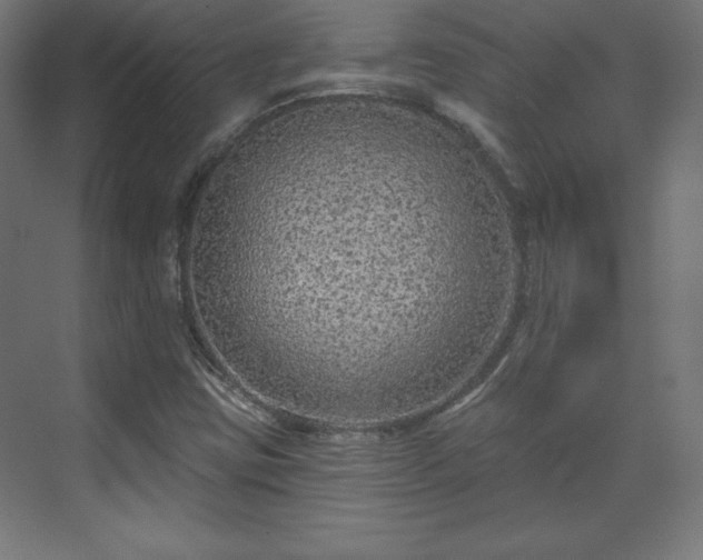 X0000070201403200606021217