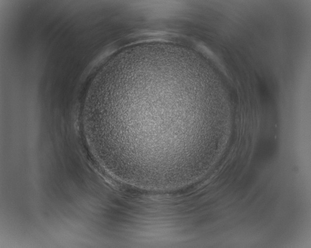 X0000070201411200606021217