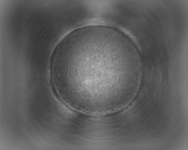 X0000070201415200606021217