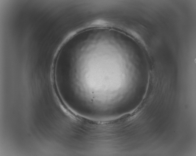 X0000070201421200606021217