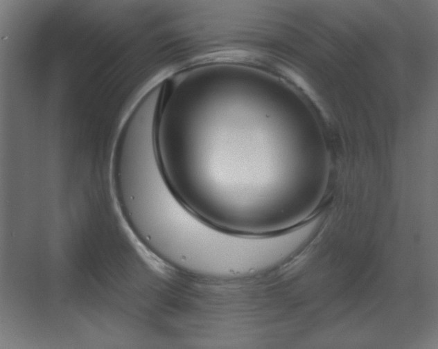 X0000070201426200606021217