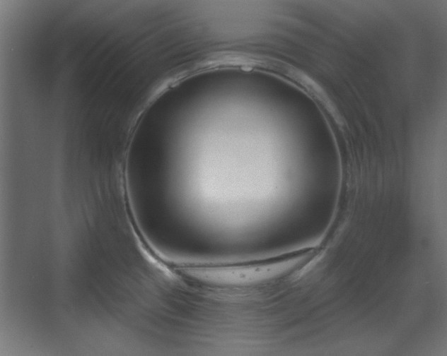 X0000070201433200606021217