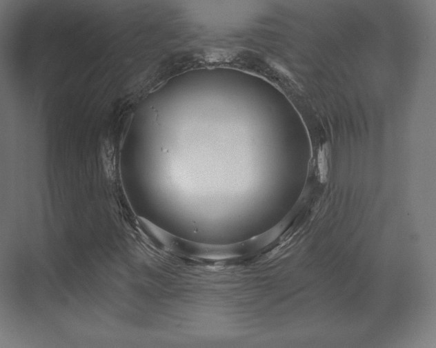 X0000070201443200606021217
