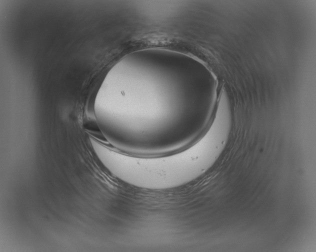 X0000070201444200606021217