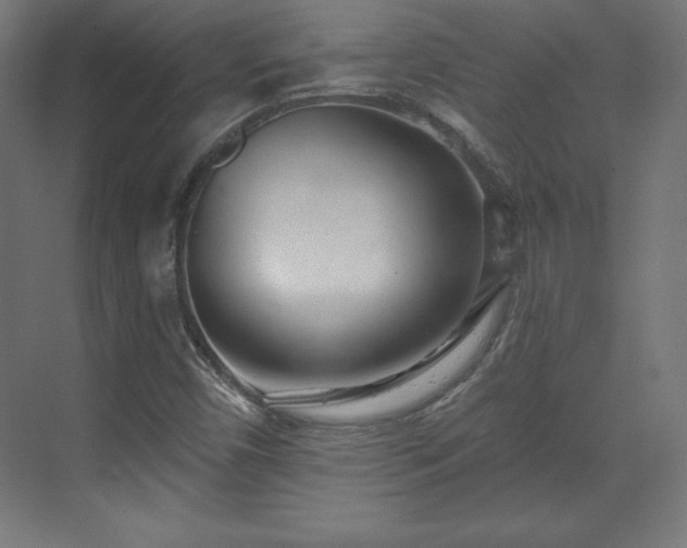 X0000070201450200606021217
