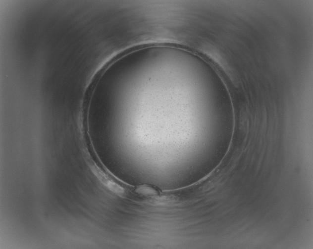 X0000070201460200606021216