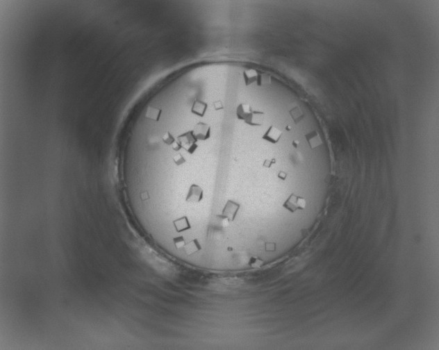 X0000070201462200606021216