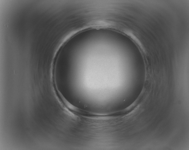 X0000070201477200606021216