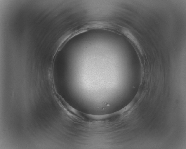 X0000070201481200606021216