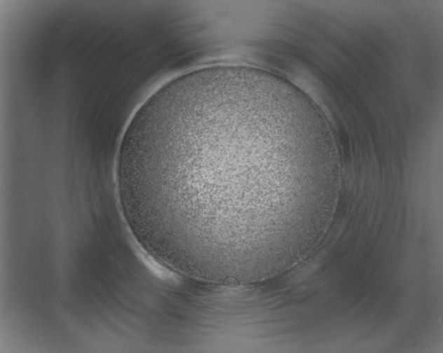 X0000070201482200606021216