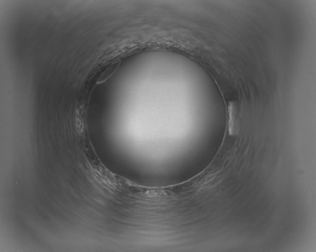 X0000070201491200606021215