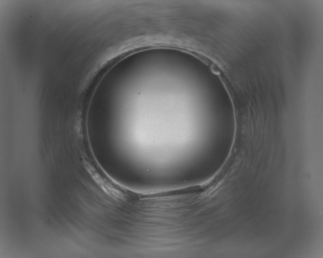 X0000070201499200606021215