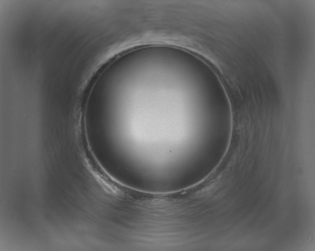 X0000070201507200606021215