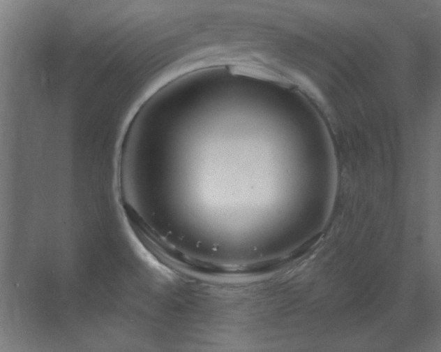 X0000070201528200606021216
