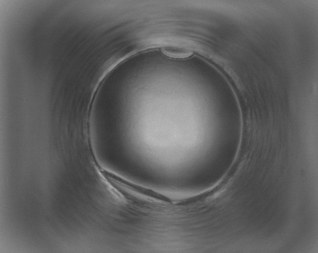 X0000070201529200606021216
