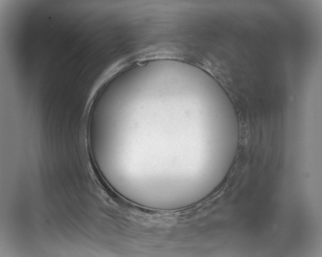X0000070200004200606091610