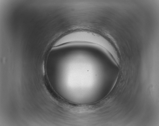 X0000070200020200606091610