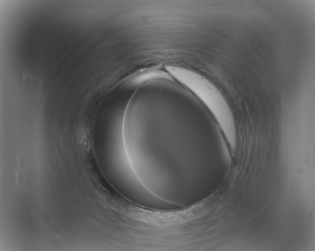 X0000070200031200606091610