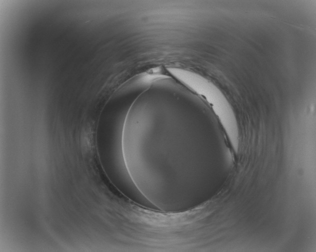 X0000070200035200606091610