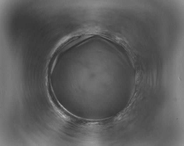 X0000070200054200606091609