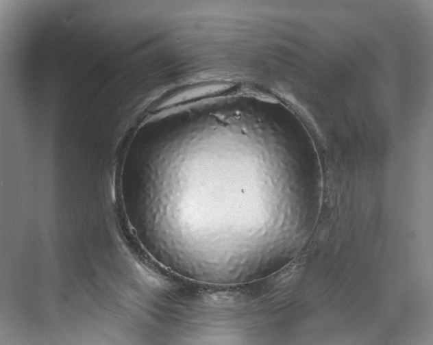 X0000070200062200606091609