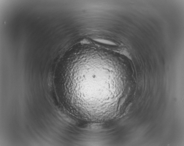 X0000070200078200606091609