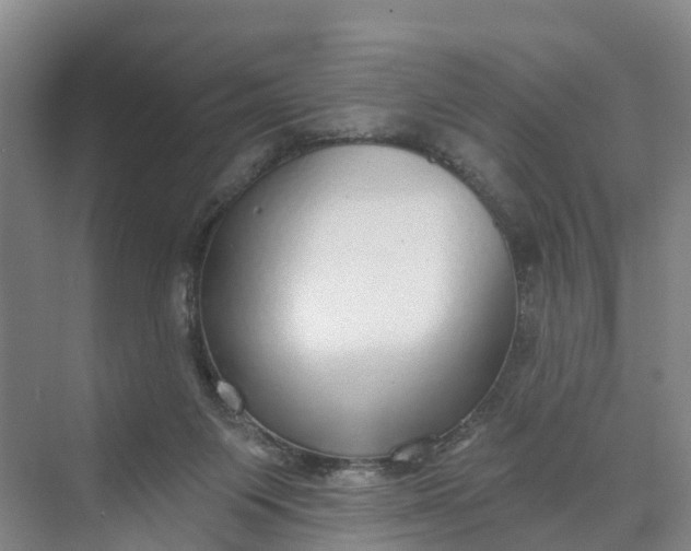 X0000070200119200606091608