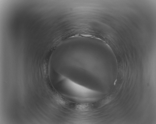 X0000070200139200606091608