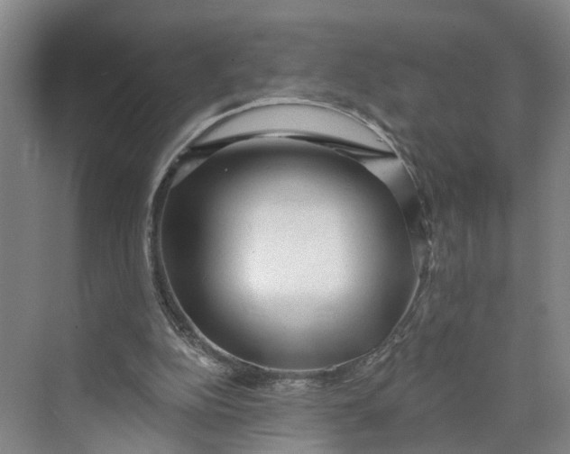 X0000070200152200606091607