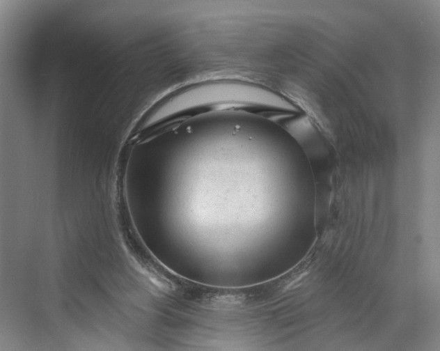 X0000070200156200606091607