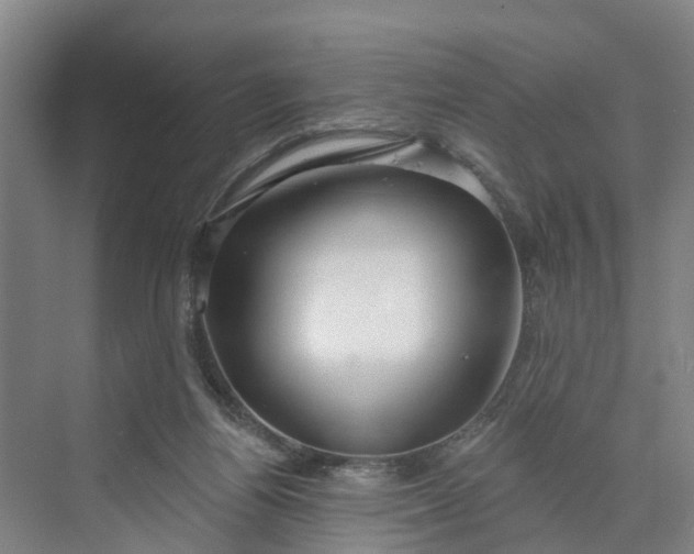 X0000070200164200606091607