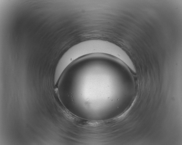 X0000070200190200606091608