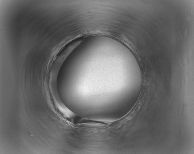 X0000070200193200606091607