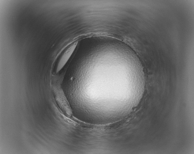 X0000070200194200606091607