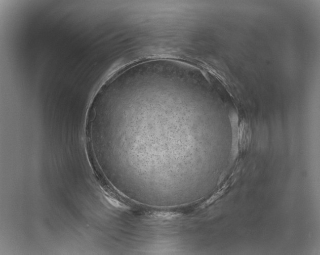 X0000070200195200606091607