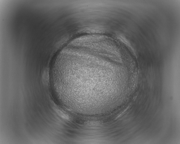 X0000070200202200606091607