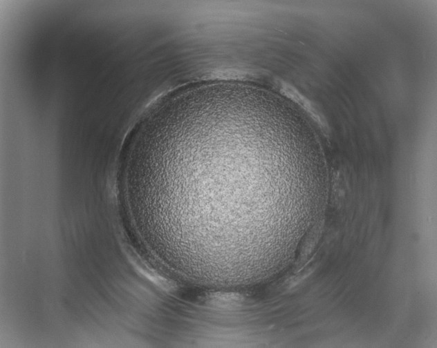 X0000070200203200606091607